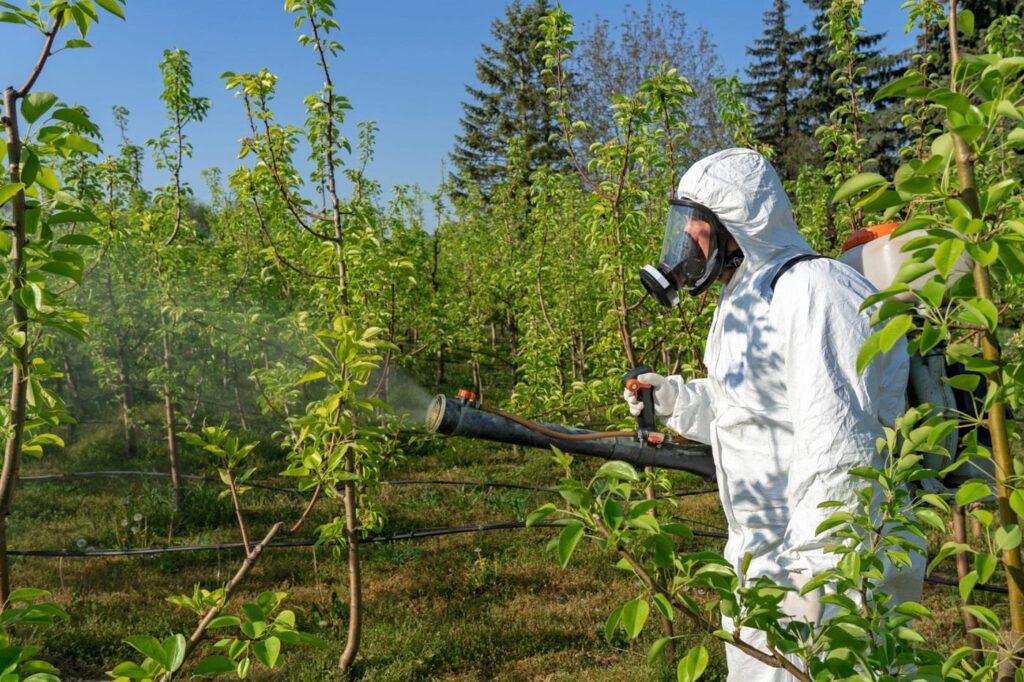 Pest Management for Healthy Trees