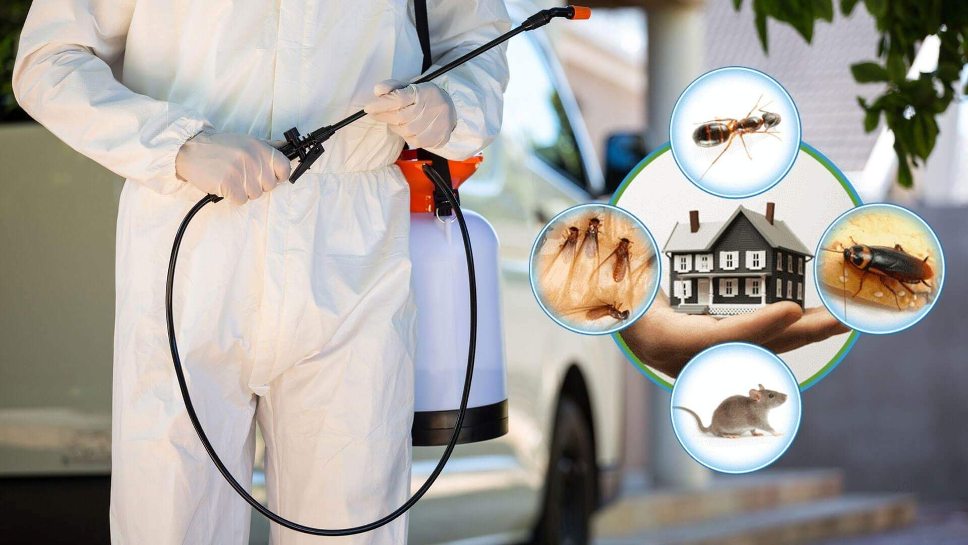 Licensed Pest Control Company Backed by Years of Experience