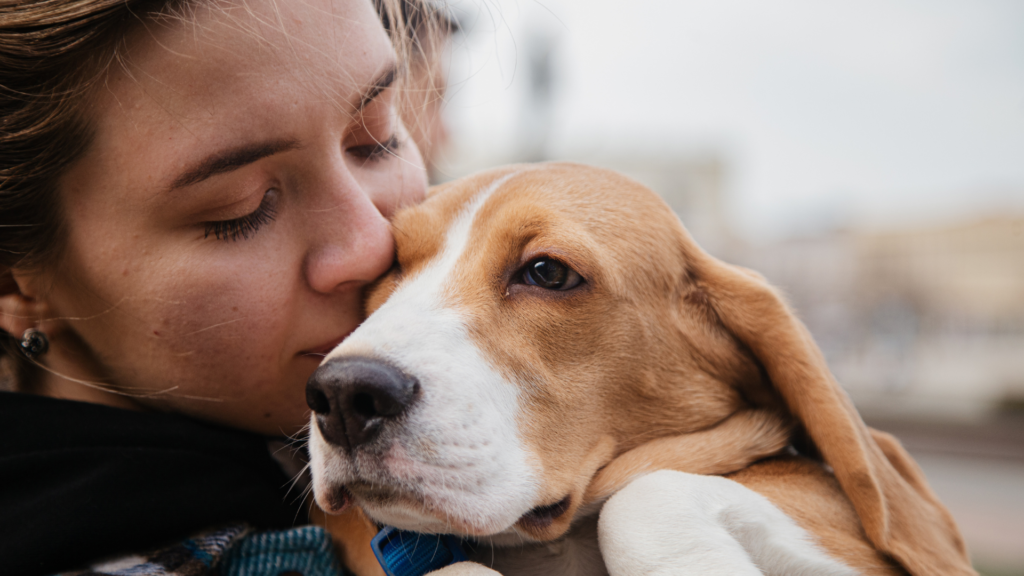 pet surgery in Encino
